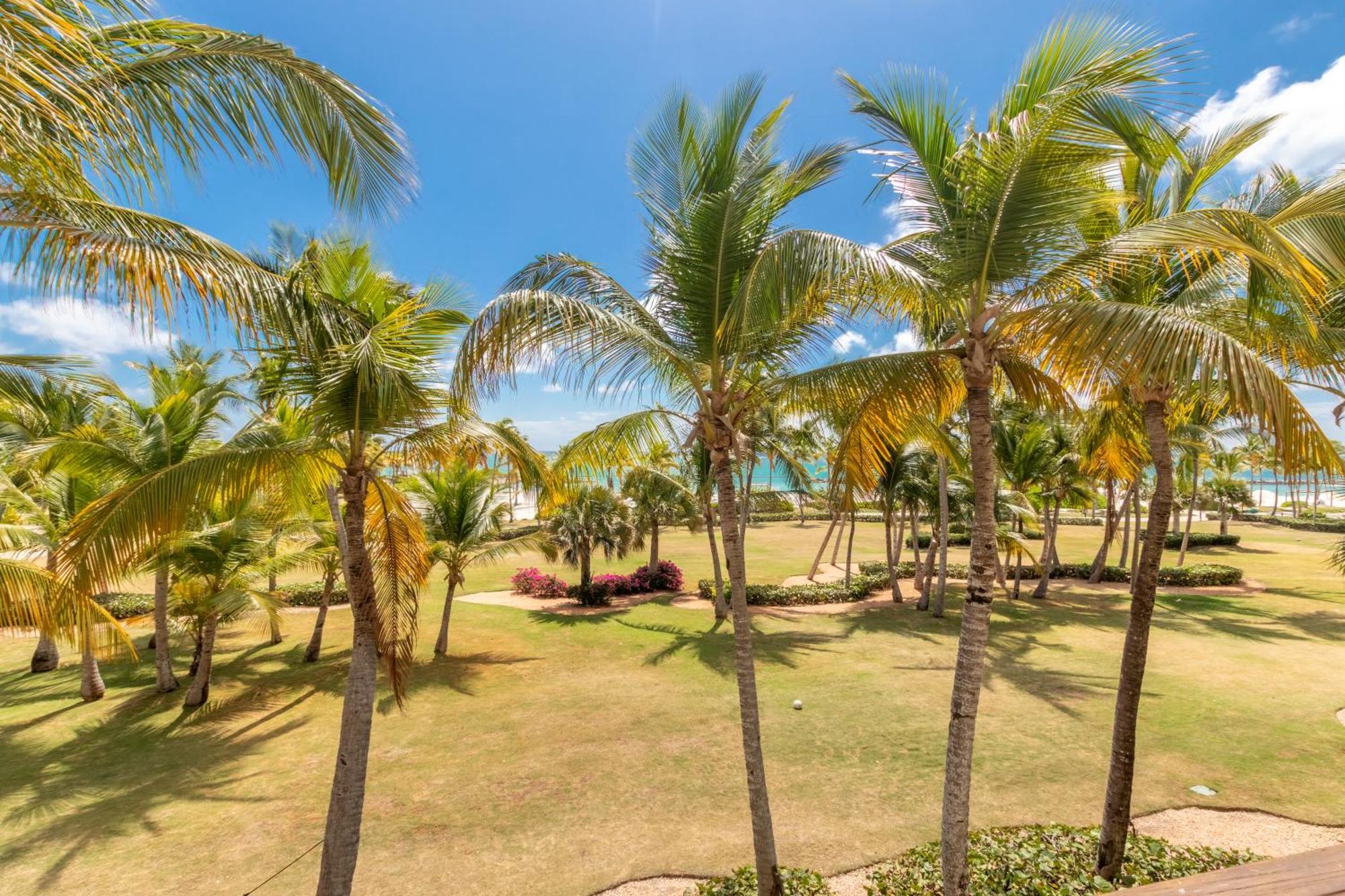 Apartment Aqm Beachfront Paradise! 3bdr At Api Beach, Cap Cana Punta Cana